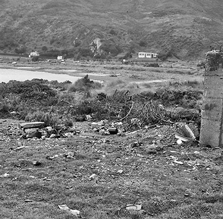 a. Foreshore/Coastline, Palmer Head