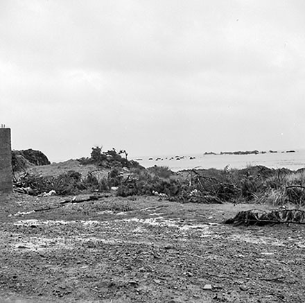b. Foreshore/Coastline, Palmer Head