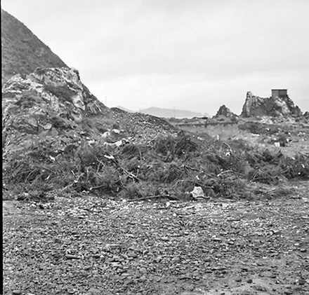 d. Foreshore/Coastline, Palmer Head