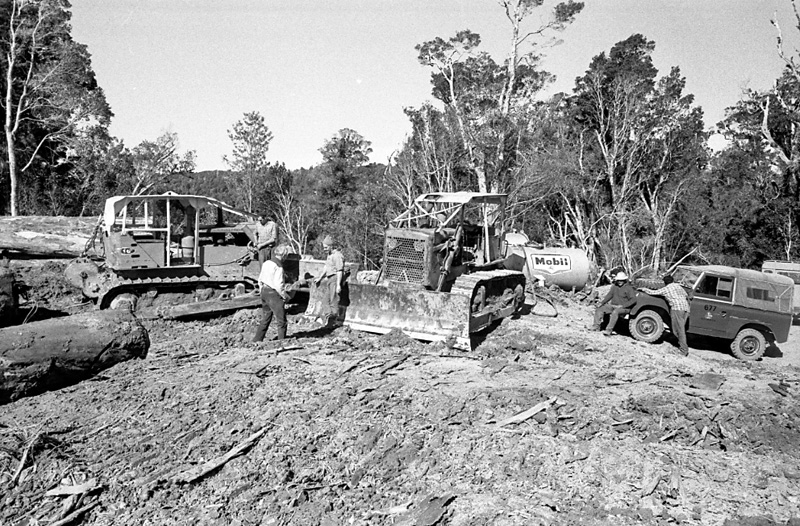 a. Logging operations, Water Board Forest Area, Paraparaumu