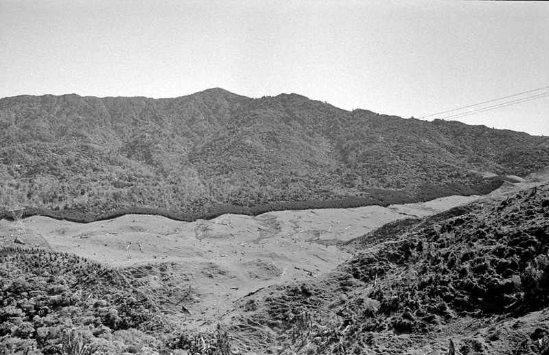 aa. Logging operations, Water Board Forest Area, Paraparaumu