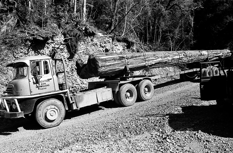 ad. Logging operations, Water Board Forest Area, Paraparaumu