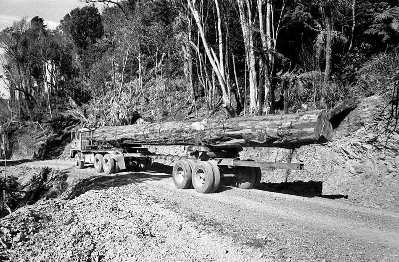 ae. Logging operations, Water Board Forest Area, Paraparaumu