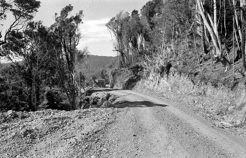 af. Logging operations, Water Board Forest Area, Paraparaumu