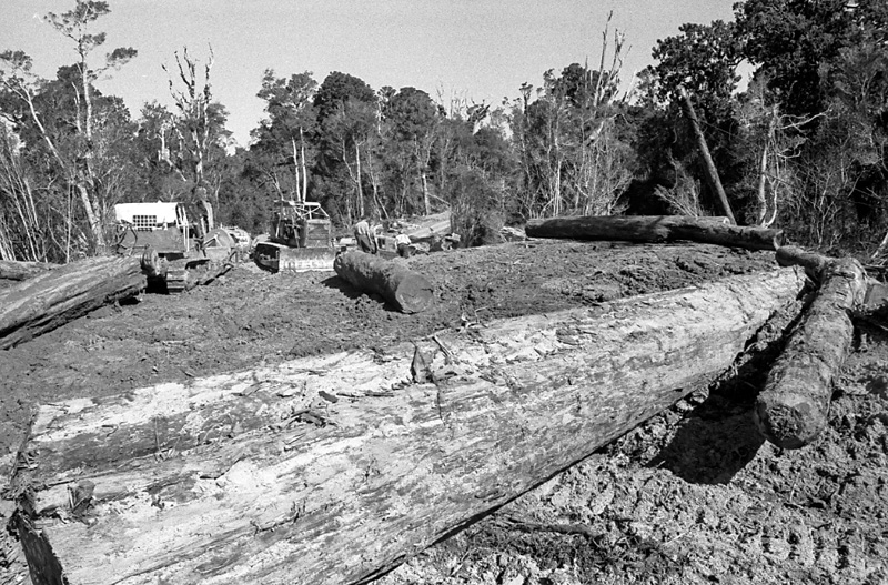 e. Logging operations, Water Board Forest Area, Paraparaumu
