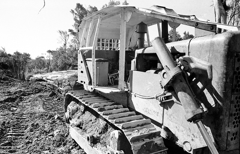 f. Logging operations, Water Board Forest Area, Paraparaumu