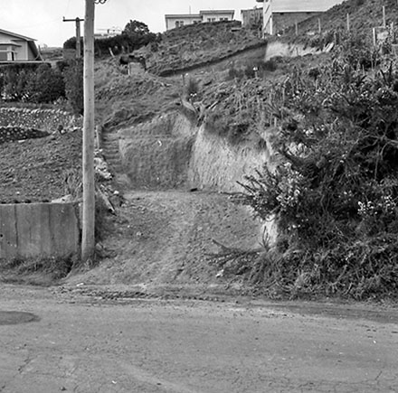 b. Steps, Pedestrian Access, 43 Houghton Bay Road