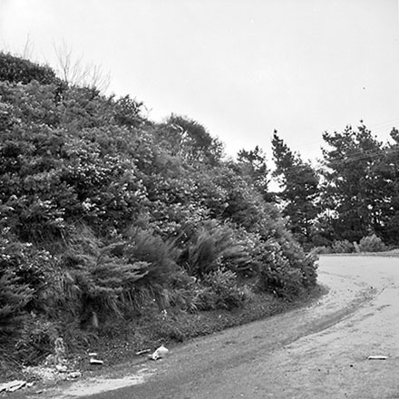 a. Steps, Pedestrian Access, 23 Wilton Road