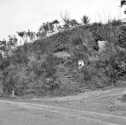 b. Steps, Pedestrian Access, 23 Wilton Road