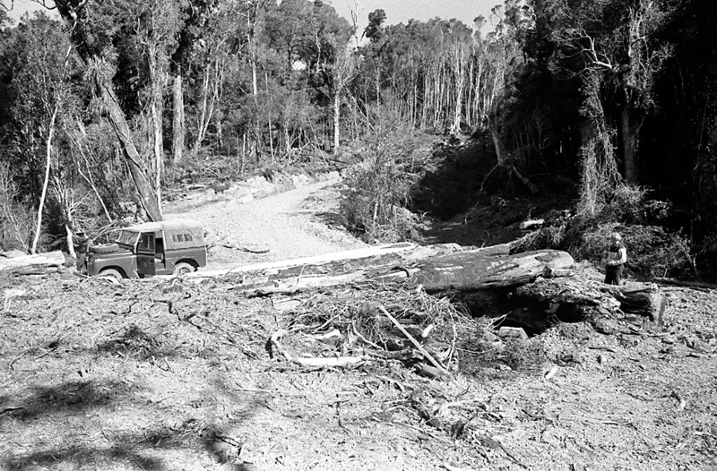 j. Logging operations, Water Board Forest Area, Paraparaumu