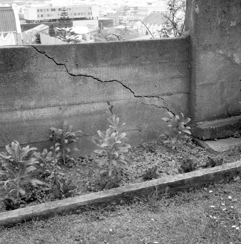 g. Properties in McDonald Crescent, tunnelling in Windsor Place, Drainage