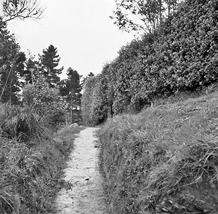 c. Steps, Pedestrian Access, 23 Wilton Road