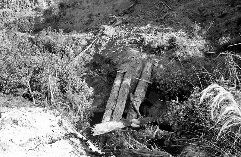 k. Logging operations, Water Board Forest Area, Paraparaumu
