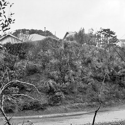 d. Steps, Pedestrian Access, 23 Wilton Road