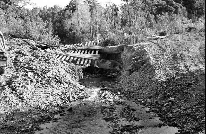 l. Logging operations, Water Board Forest Area, Paraparaumu