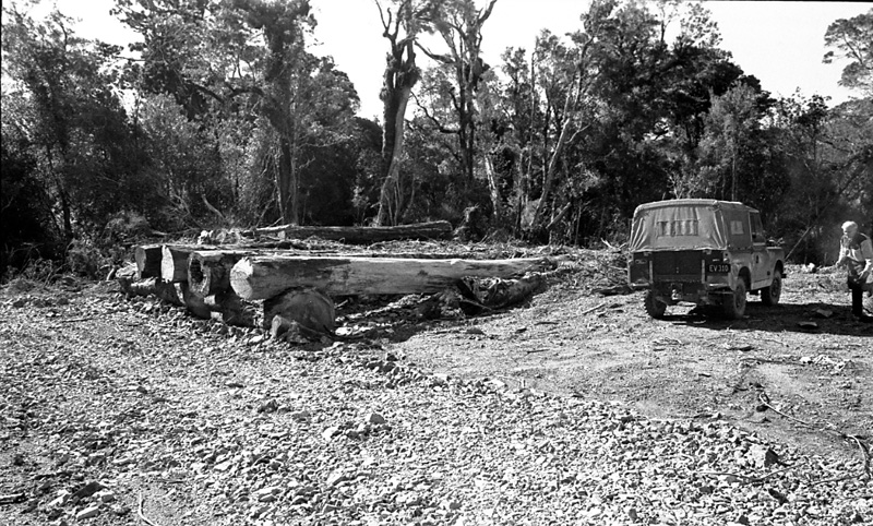 q. Logging operations, Water Board Forest Area, Paraparaumu