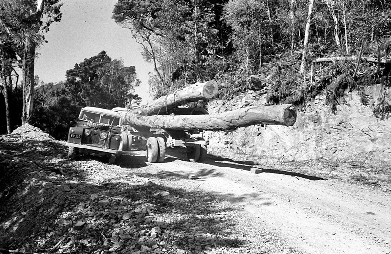 t. Logging operations, Water Board Forest Area, Paraparaumu