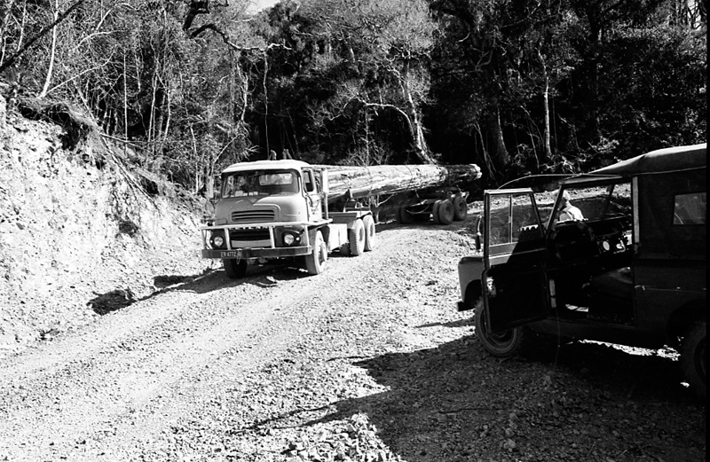 x. Logging operations, Water Board Forest Area, Paraparaumu