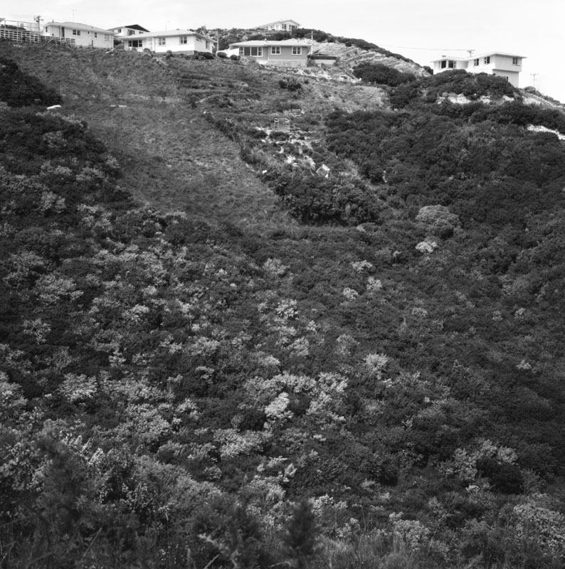 b. Land Projects Ltd, Happy Valley Rd, proposed industrial site