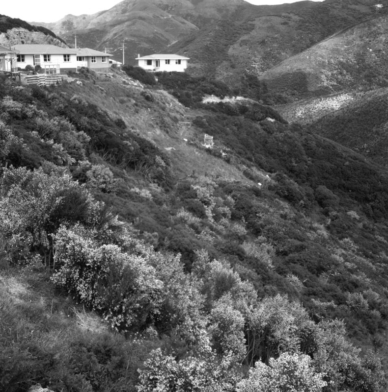 d. Land Projects Ltd, Happy Valley Rd, proposed industrial site