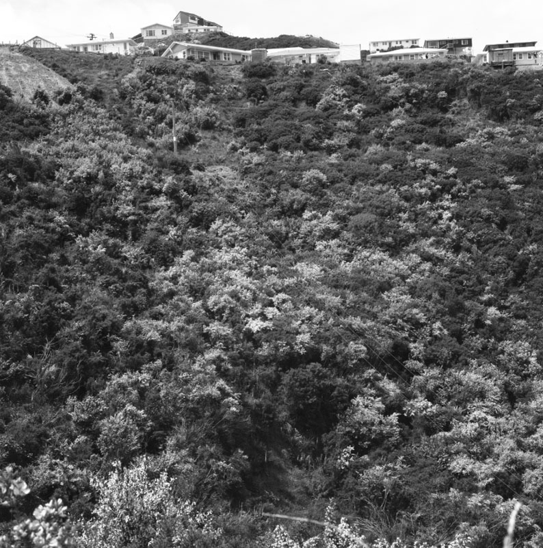 h. Land Projects Ltd, Happy Valley Rd, proposed industrial site