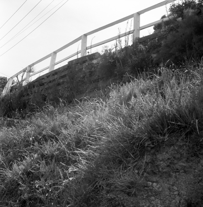 c. No 440 Evans Bay Parade, Alleged accident, cribwall