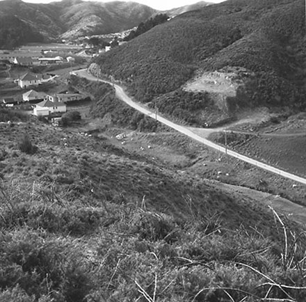 a. Panoramic View, South Karori Road