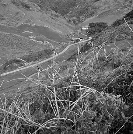 c. Panoramic View, South Karori Road