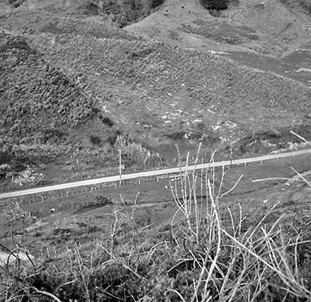 d. Panoramic View, South Karori Road