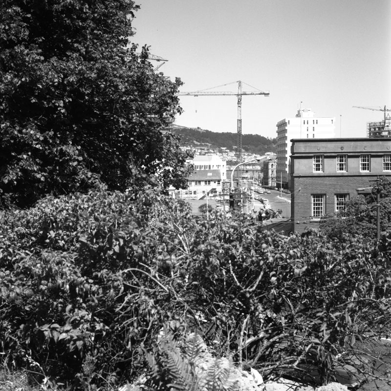 b. View from steps of Parliament House