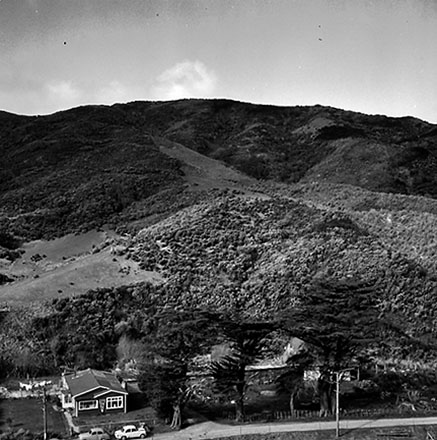 c. Panoramic View, South Karori Road