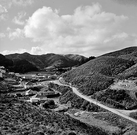 e. Panoramic View, South Karori Road