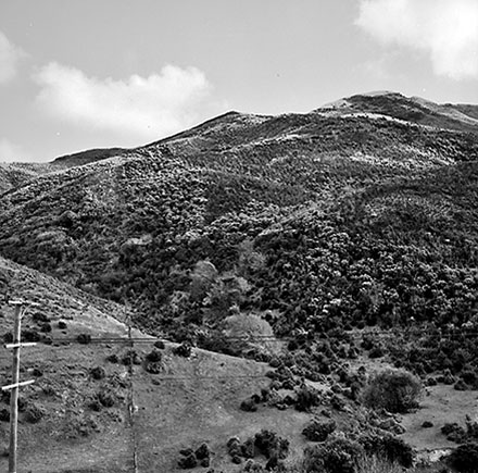f. Panoramic View, South Karori Road
