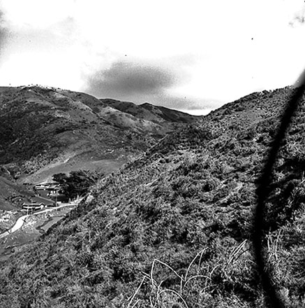 g. Panoramic View, South Karori Road