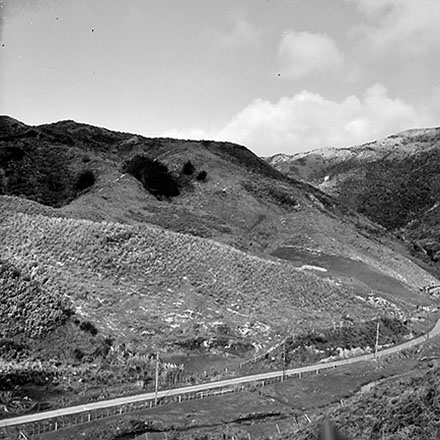 h. Panoramic View, South Karori Road