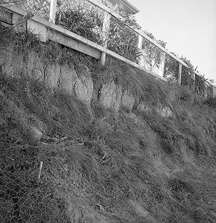 b. Footpath, pedestrian access, 63 Wadestown Road