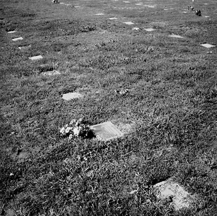 a. Lawn Cemetery, Karori Cemetery