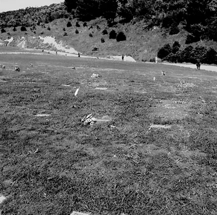 b. Lawn Cemetery, Karori Cemetery