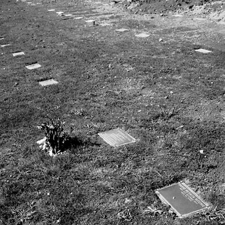 c. Lawn Cemetery, Karori Cemetery