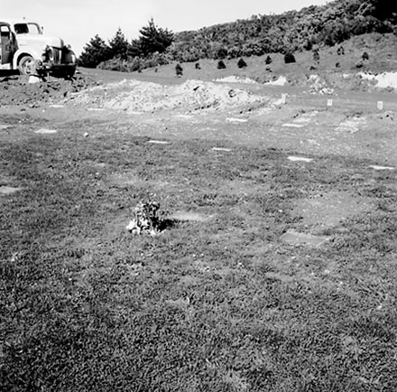 d. Lawn Cemetery, Karori Cemetery