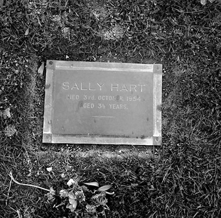 e. Lawn Cemetery, Karori Cemetery