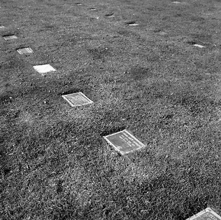 h. Lawn Cemetery, Karori Cemetery