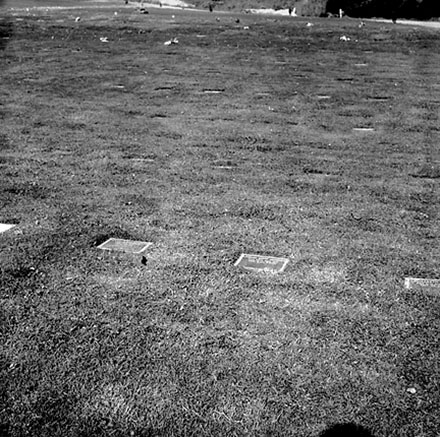 k. Lawn Cemetery, Karori Cemetery