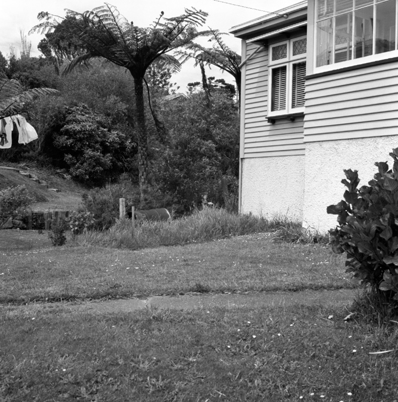 c. Standen St, No 49 Block wall-garage-lawn-fence. No 47 lawn-fence. No 45 Lawn-fence