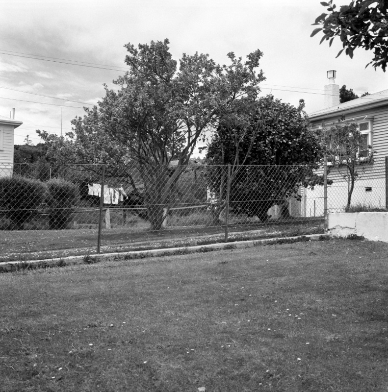 e. Standen St, No 49 Block wall-garage-lawn-fence. No 47 lawn-fence. No 45 Lawn-fence