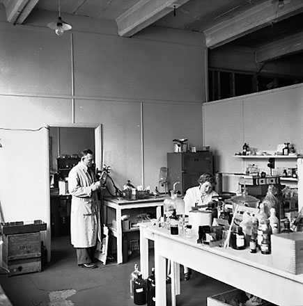 a. Interior of Council laboratory, people at work. d. Slip, unidentified property