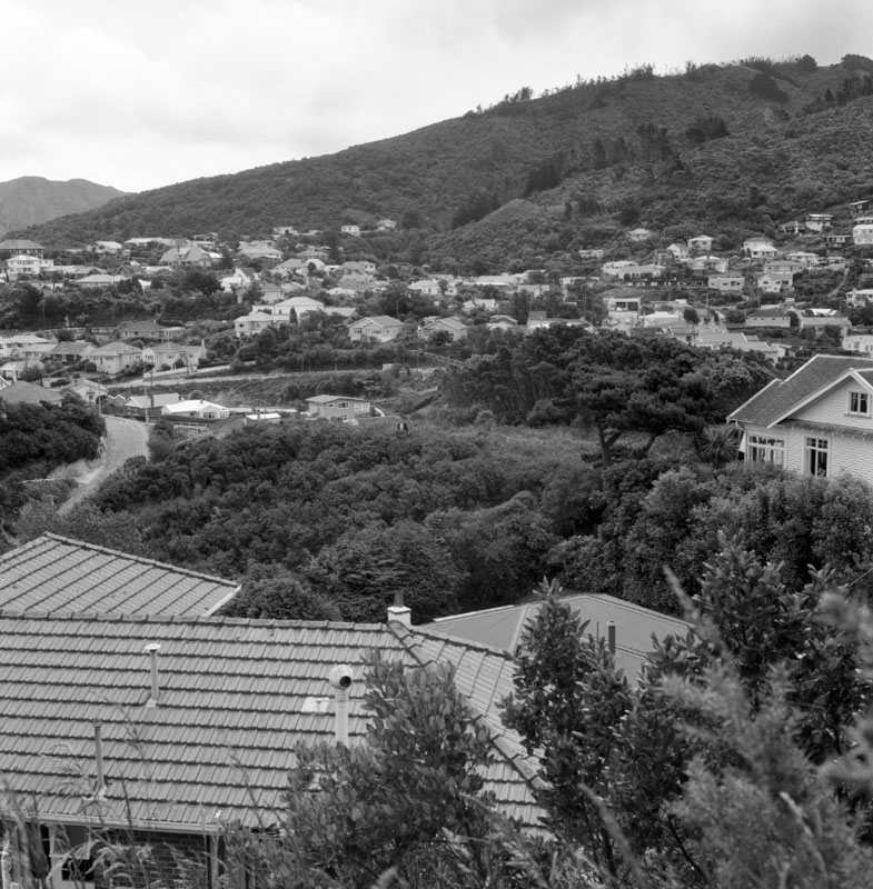 a. Wilton Bush (Curtis Land)