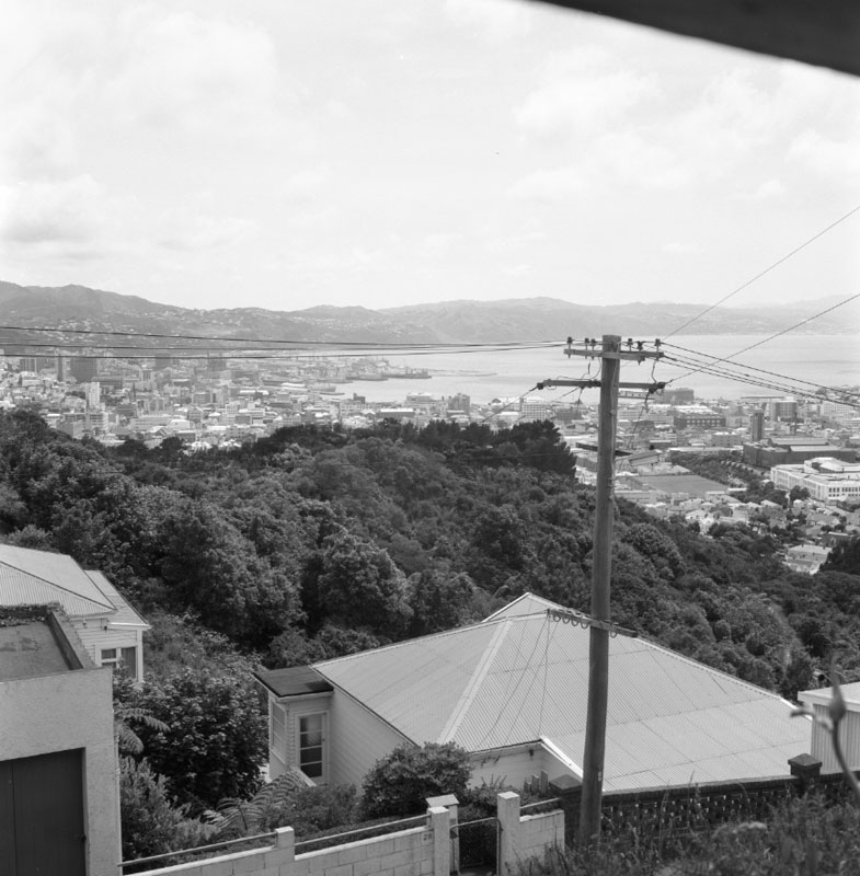 b. Wilton Bush (Curtis Land)