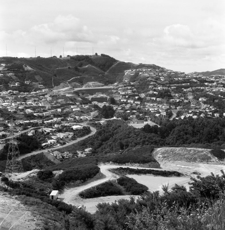 d. Wilton Bush (Curtis Land)