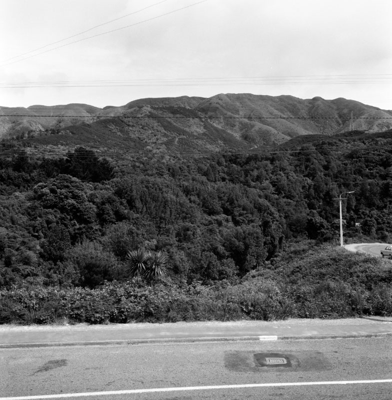 e. Wilton Bush (Curtis Land)